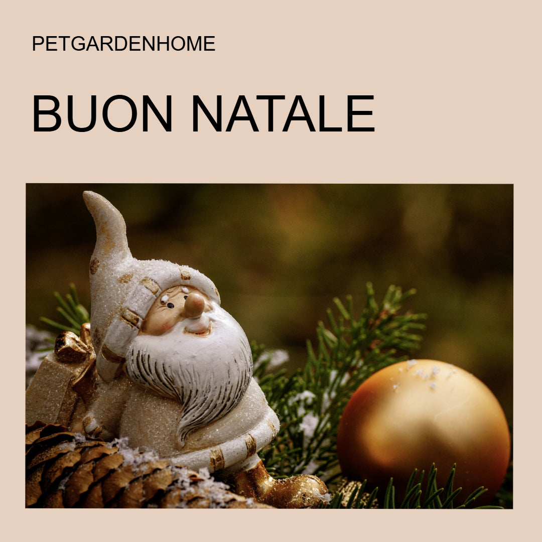 Buon Natale