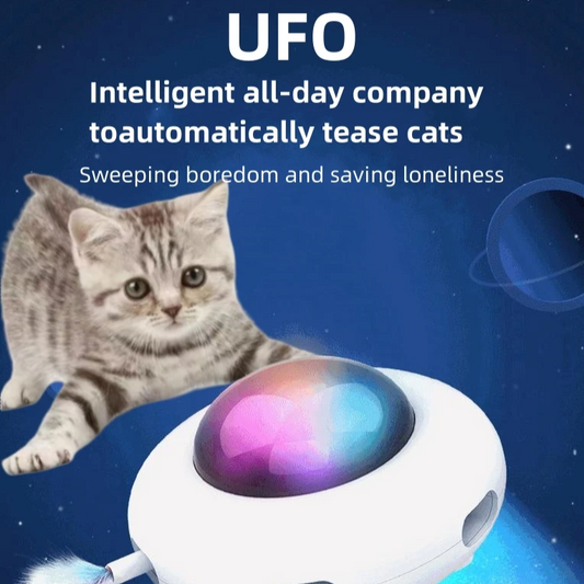 Giocattolo Interattivo UFO per Gatti